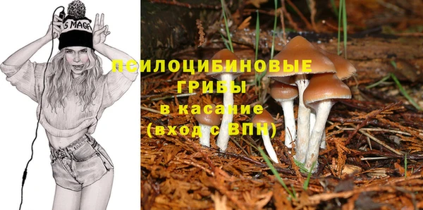 трава Балахна